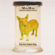 Museum of Modern Oddities
