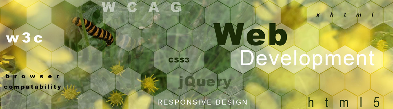 Web Development